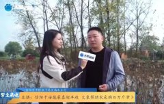 疫情無情人有情 百家助農獻愛心